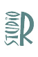 studior