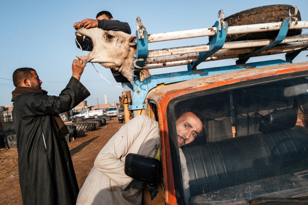 photo by Jonathan Jasberg, people with a car and a camel