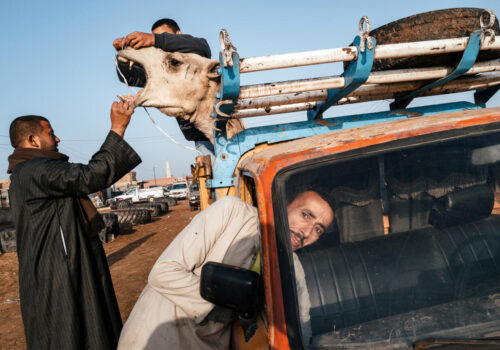 photo by Jonathan Jasberg, people with a car and a camel