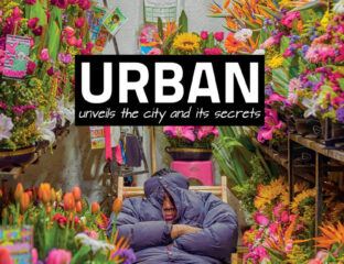 Jorge Ivan Macias Mejia- Valentine's Day Guardians