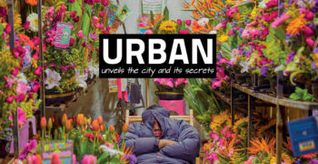 Jorge Ivan Macias Mejia- Valentine's Day Guardians