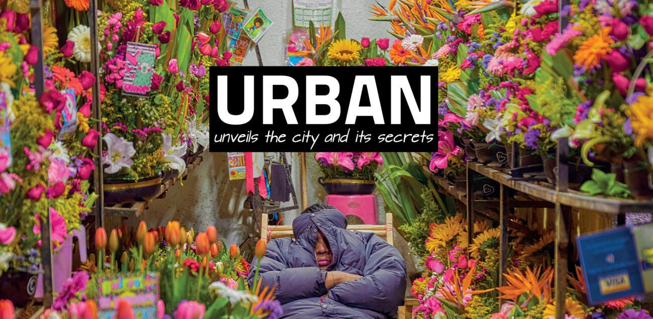 Jorge Ivan Macias Mejia- Valentine's Day Guardians